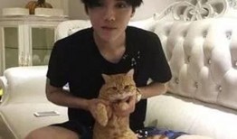 爆料鹿晗婚房视频,奢华装修引网友热议