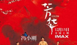 芳华2017在线观看,青春岁月的华彩篇章